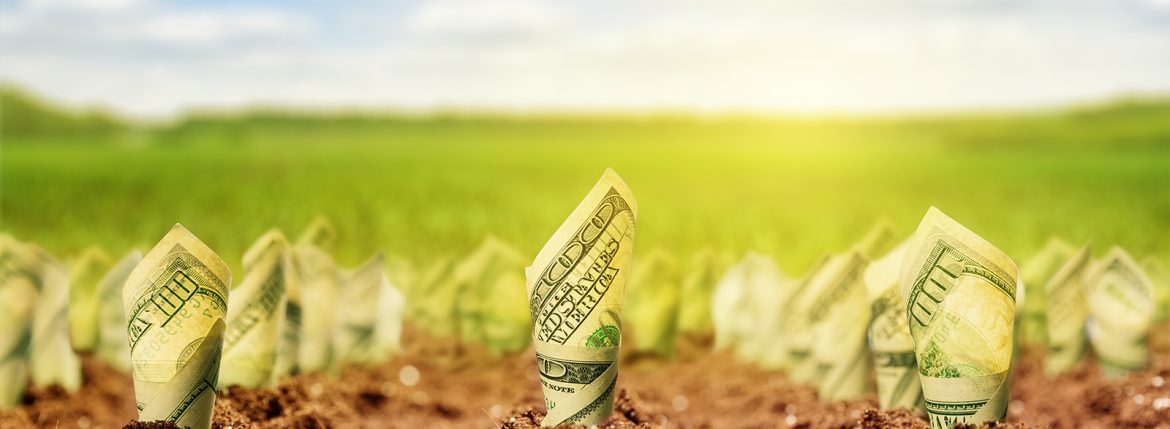 Purchased from iStockPhoto.com ©